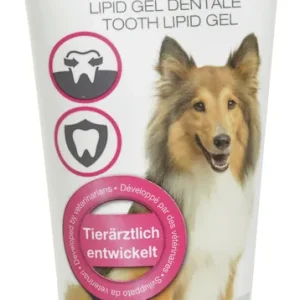 Echt TAKE CARE Zahn Lipid Gel